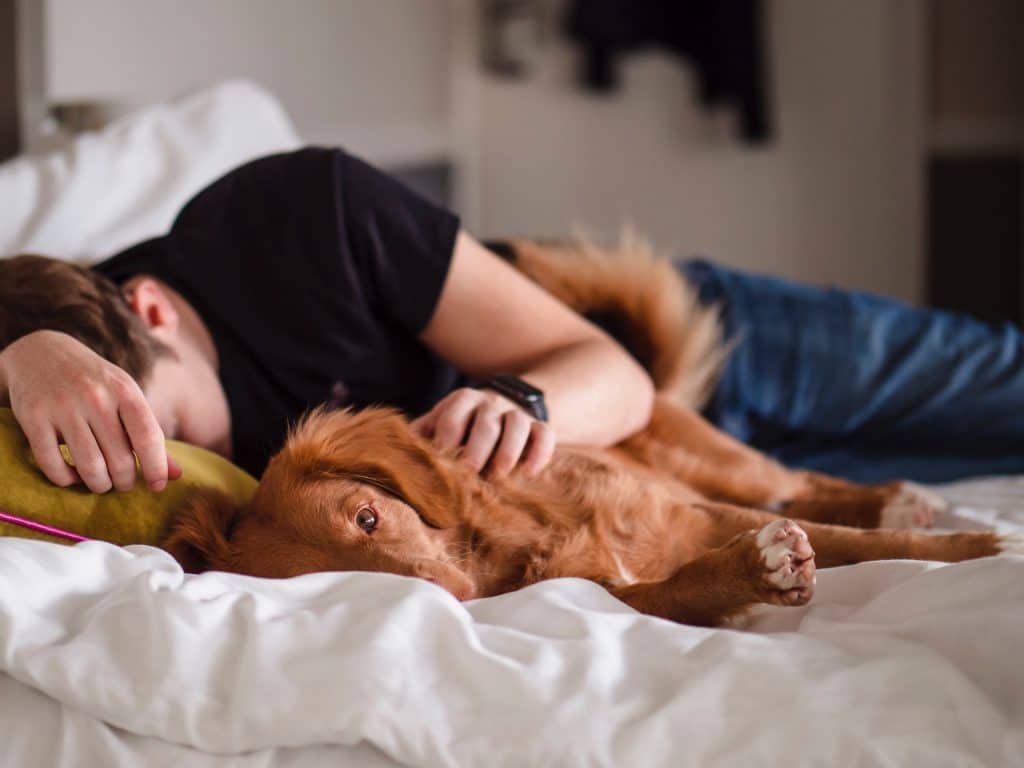 man taking a nap with his dog