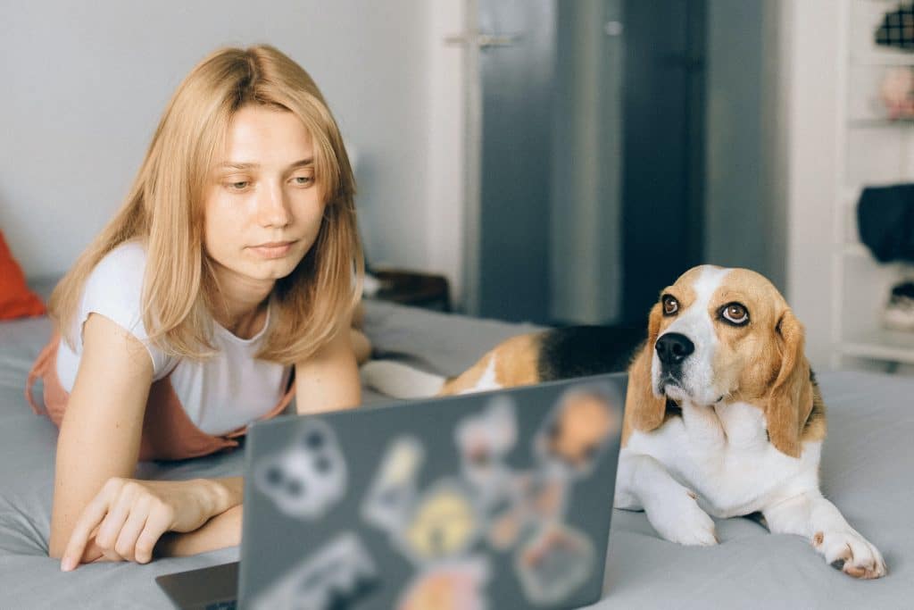 Woman looking at laptop with dog by her side